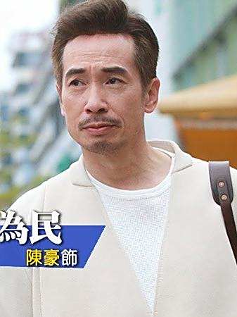 俠醫(2025年陳豪、張曦雯等主演的電視劇)
