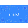 shallot shallot