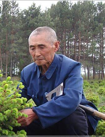 伊天豐 伊天豐