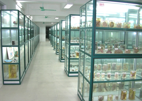 植物標本室