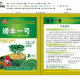 矮豐一號 矮豐一號