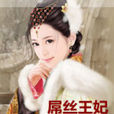 屌絲王妃 屌絲王妃
