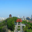 蛇山景區(蛇山景區)