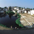 大八頃村 大八頃村
