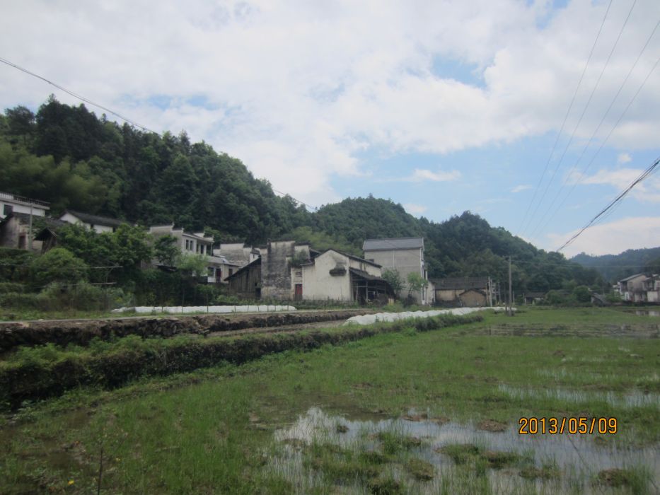 峰聯村 峰聯村