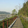 河濱步道 河濱步道