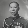 薛岳(中國國民黨軍高級將領)