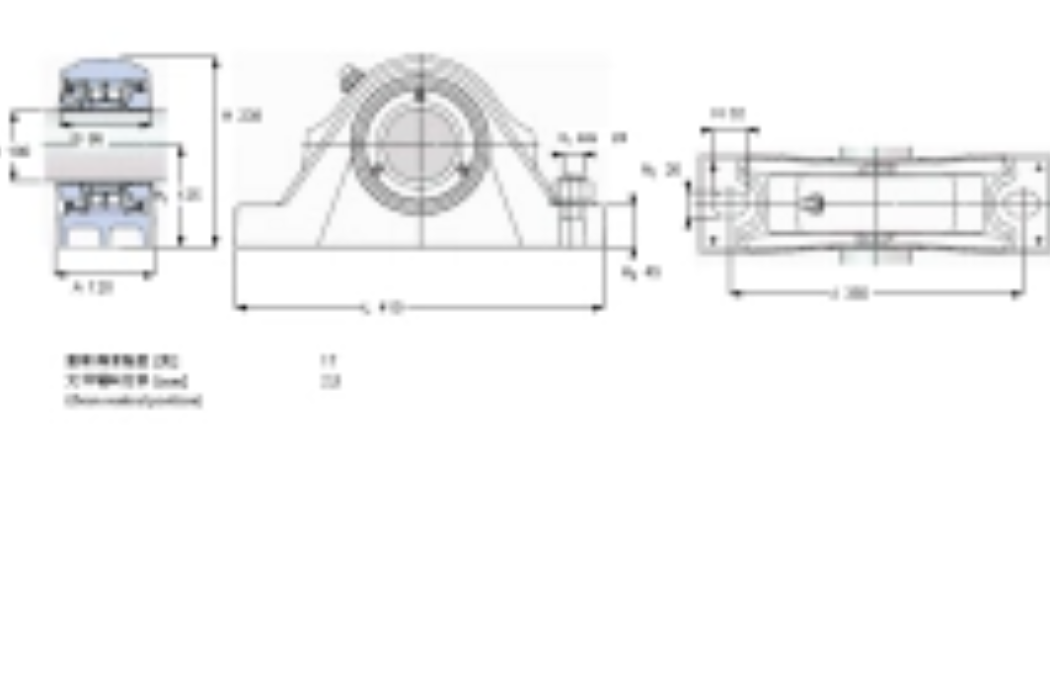 SKF SYNT100L軸承 SKF SYNT100L軸承