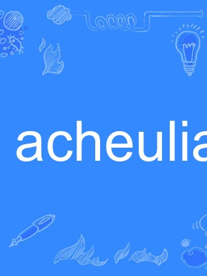 acheulian acheulian