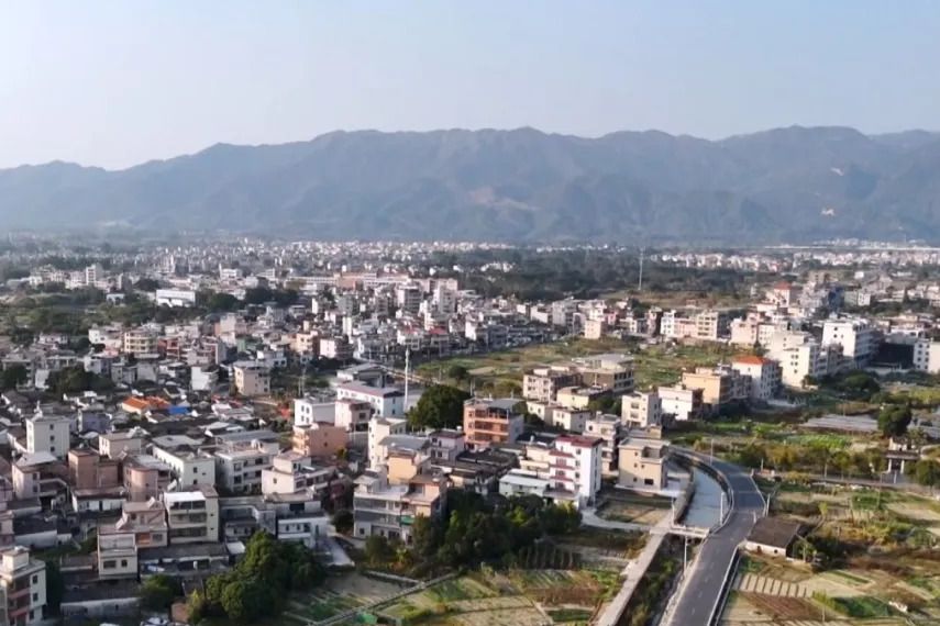 陂尾村 陂尾村