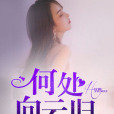 何處向雲歸 何處向雲歸