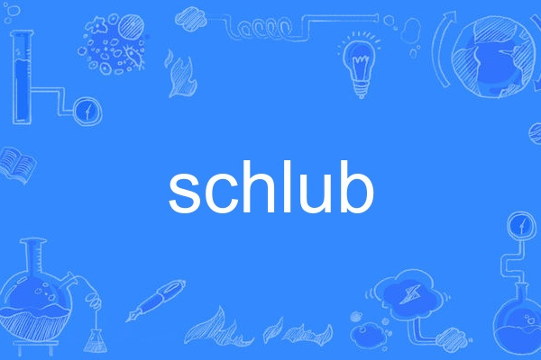 schlub schlub
