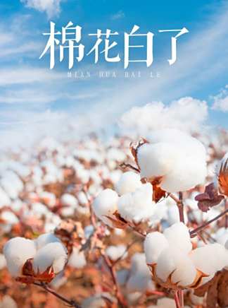 臧哲 臧哲