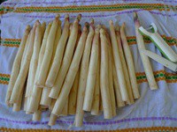 傳統白蘆筍