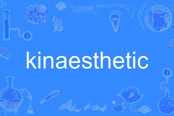 kinaesthetic kinaesthetic