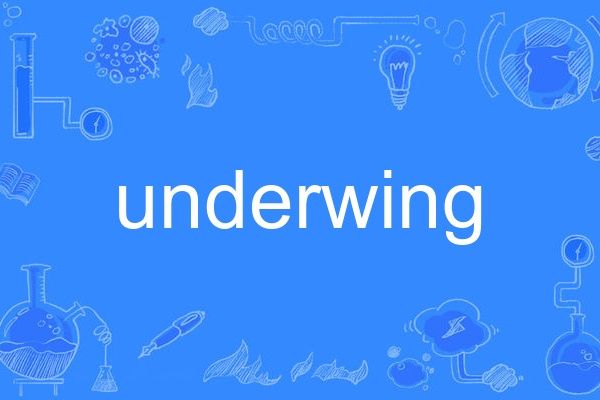 underwing underwing
