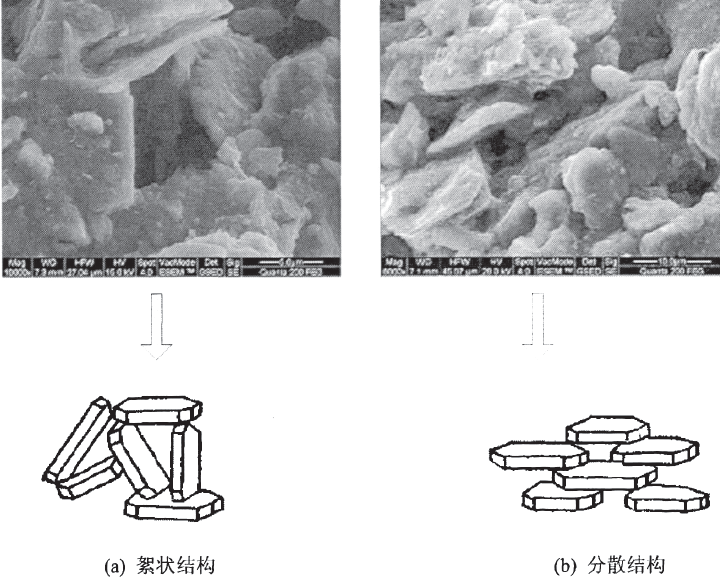 飽和粘土 飽和粘土