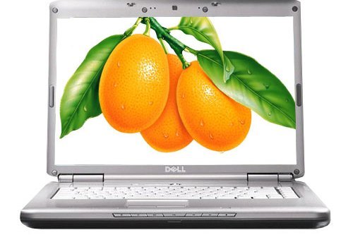 戴爾Inspiron 1526(S510628CN) 戴爾Inspiron 1526(S510628CN)