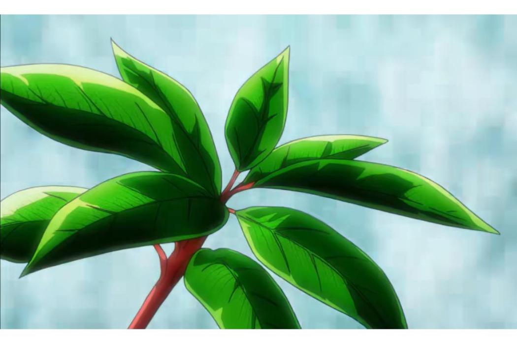 讓葉(動畫《聖鬥士星矢》中的一種植物) 讓葉(動畫《聖鬥士星矢》中的一種植物)