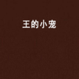 王的小寵 王的小寵