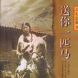 送你一匹馬(三毛所著書籍) 送你一匹馬(三毛所著書籍)
