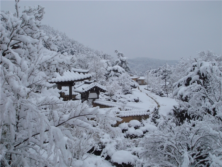 大雪中的君子村