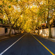 泰康路(上海市黃浦區泰康路) 泰康路(上海市黃浦區泰康路)