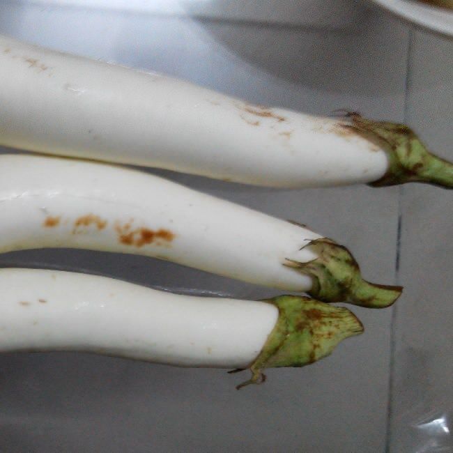 白茄子力蘇 白茄子力蘇