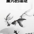 星光的追逐 星光的追逐