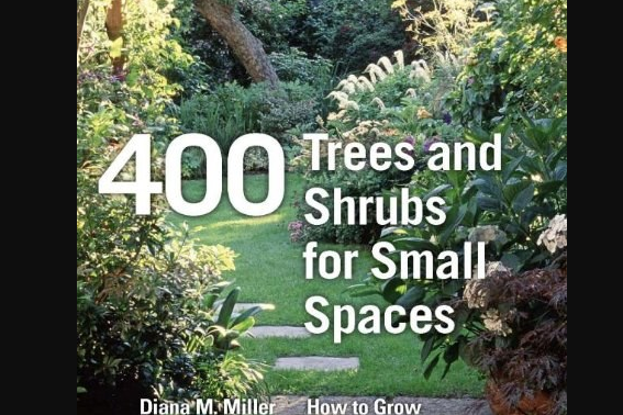 400 Trees and Shrubs for Small Spaces 400 Trees and Shrubs for Small Spaces