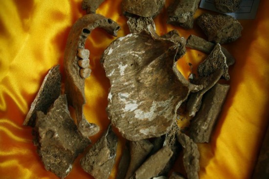 發掘出來的曹休頭蓋骨和顎骨