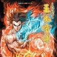 王風雷傳 王風雷傳