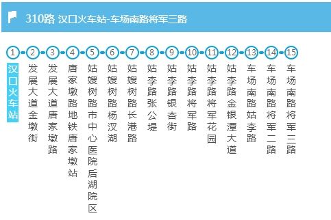 武漢公交310路