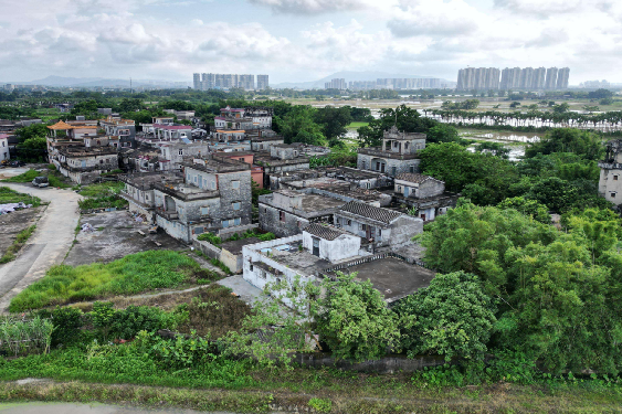 塘美村(廣東省江門市開平市赤坎鎮下轄行政村)