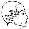 瘈脈 瘈脈