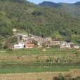 大窩鋪村(雲南省普洱瀾滄拉祜族自治縣大窩鋪村) 大窩鋪村(雲南省普洱瀾滄拉祜族自治縣大窩鋪村)