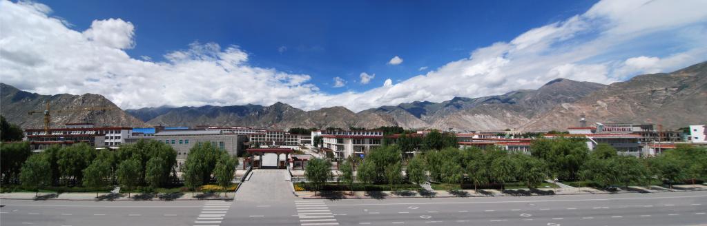 西藏藏醫藥大學(西藏藏醫學院)