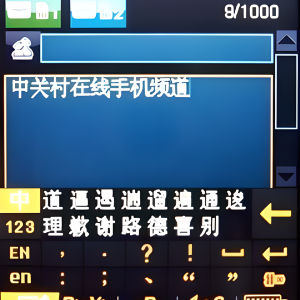 中興V300