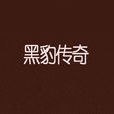 黑豹傳奇 黑豹傳奇
