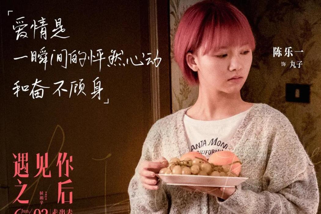 丸子(愛情電影《遇見你之後》中的角色) 丸子(愛情電影《遇見你之後》中的角色)