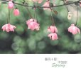 春風十里(2012年中國華僑出版社出版的圖書) 春風十里(2012年中國華僑出版社出版的圖書)