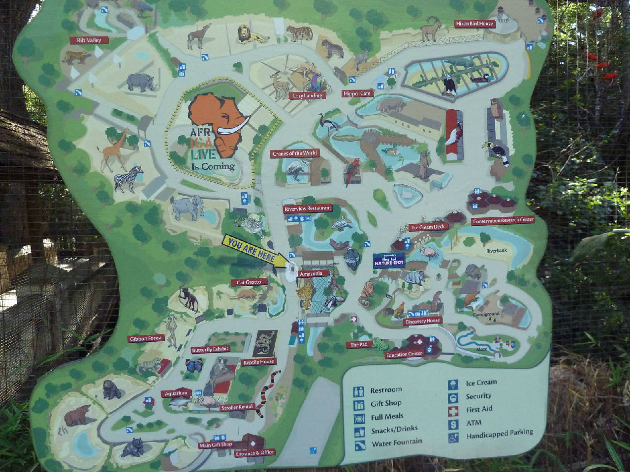 聖安東尼奧動物園遊覽圖