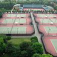 上海網球俱樂部