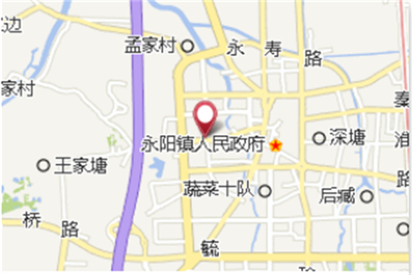 蔬菜四隊 蔬菜四隊