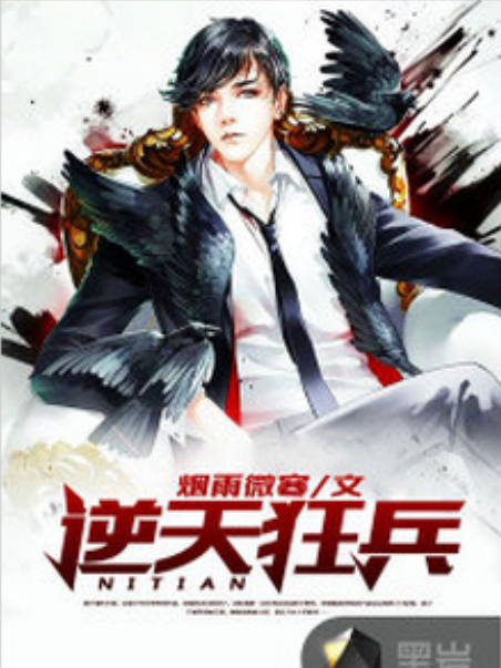 逆天狂兵(煙雨微寒創作的網路小說) 逆天狂兵(煙雨微寒創作的網路小說)