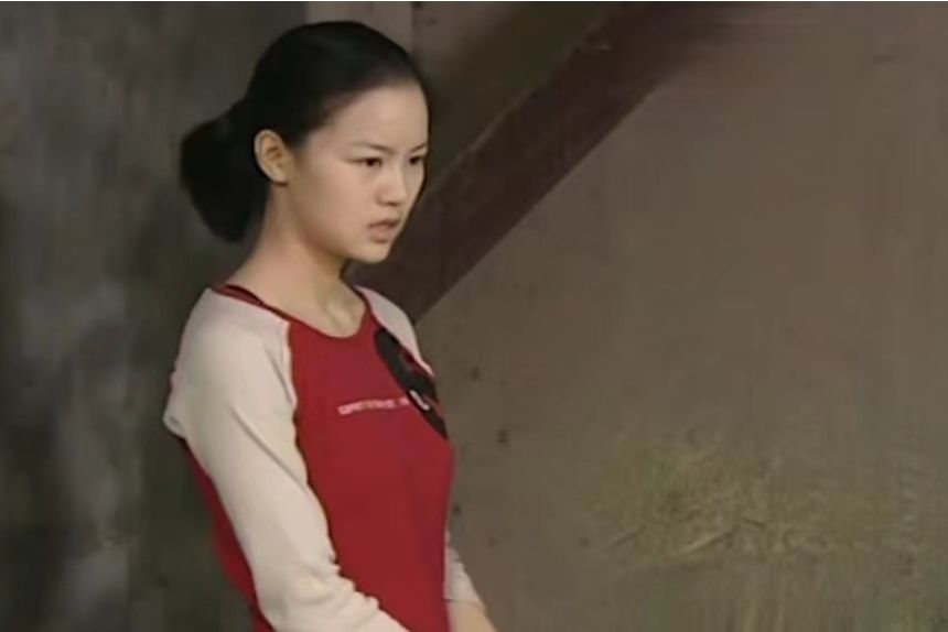 胡清清(家庭倫理劇《家變》中的角色) 胡清清(家庭倫理劇《家變》中的角色)
