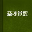 聖魂覺醒(小說) 聖魂覺醒(小說)