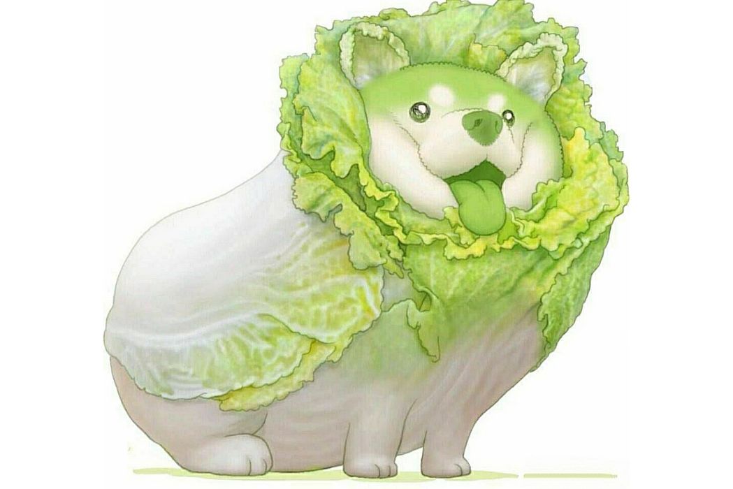 菜狗(2020年日本畫師ばん吉創作的蔬菜精靈系列形象) 菜狗(2020年日本畫師ばん吉創作的蔬菜精靈系列形象)