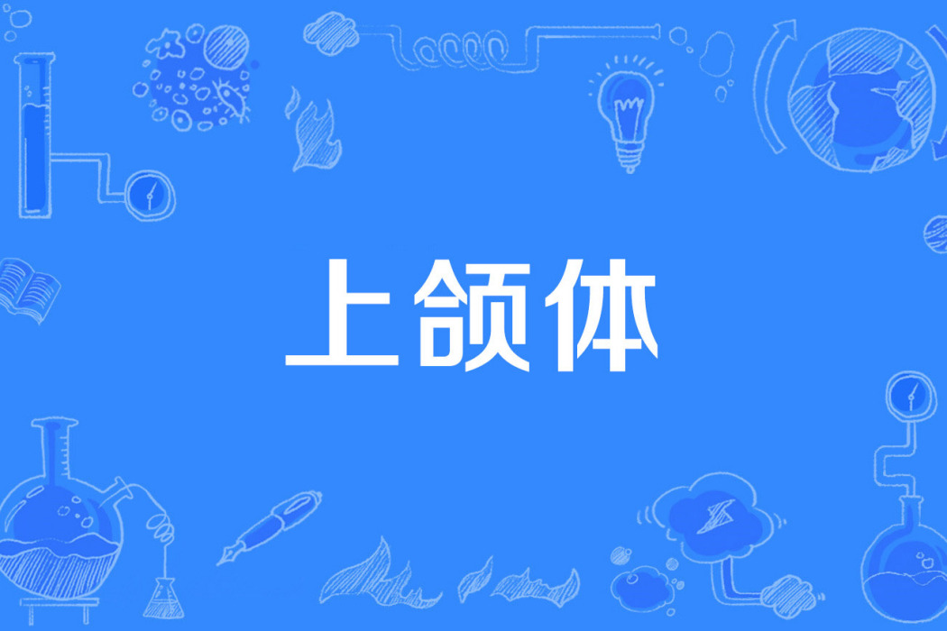 上頜體 上頜體