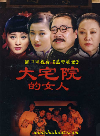 丁柳元 丁柳元